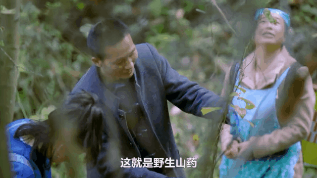 大秦嶺的小日子 | 人間有味是清歡
