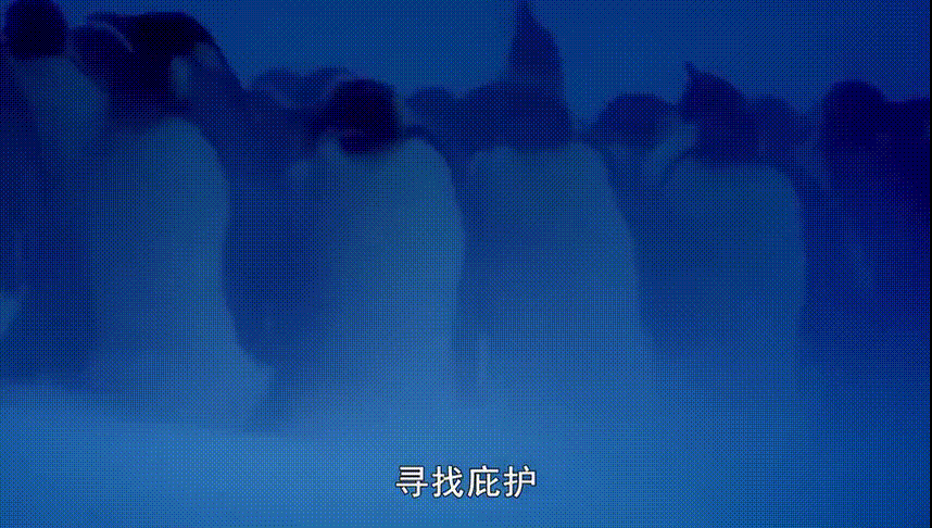 極寒下的溫情：從九死一生到堅強(qiáng)無畏，不過是爸媽不斷逼了我一把 