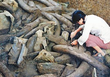 三星堆發(fā)現(xiàn)90年 古蜀文明之門(mén)從這里打開(kāi)