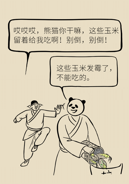 發(fā)霉食物不能吃安全糧油怎么選？