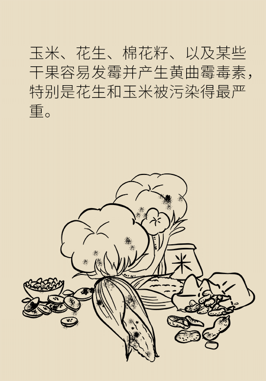 發(fā)霉食物不能吃安全糧油怎么選？