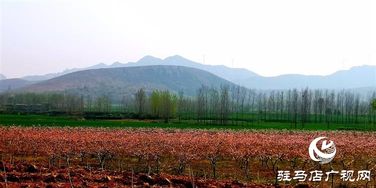 光影藝術(shù)的魅力、手機也能拍出大片——高永強手機攝影作品賞析