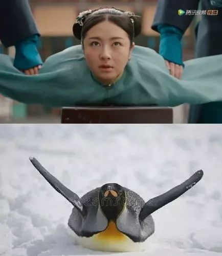 都2020年了，這種辣眼劇怎么還沒滅絕 