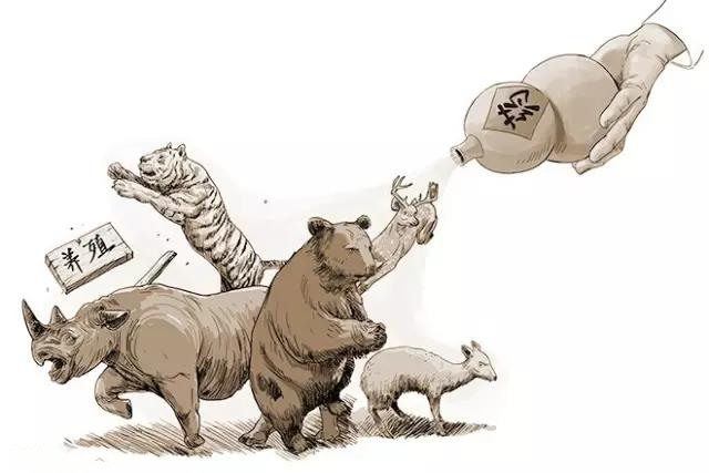 滅絕的不只長江白鱘，在中國，這些物種也已消失…… 