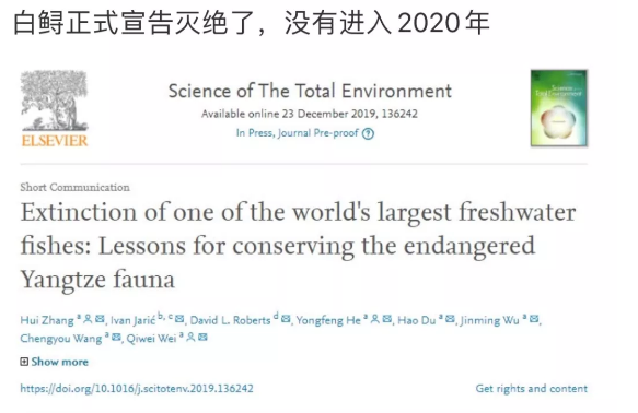 滅絕的不只長江白鱘，在中國，這些物種也已消失…… 