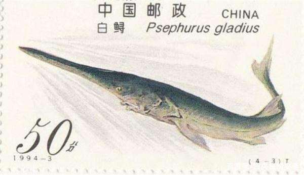 滅絕的不只長江白鱘，在中國，這些物種也已消失…… 