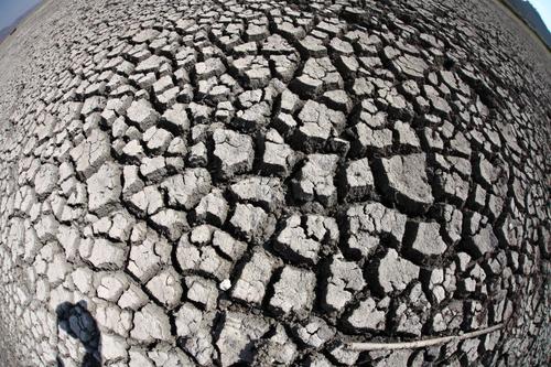 滅絕的不只長江白鱘，在中國，這些物種也已消失…… 