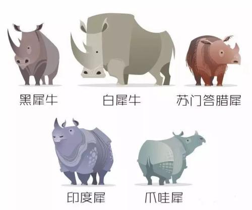 滅絕的不只長江白鱘，在中國，這些物種也已消失…… 