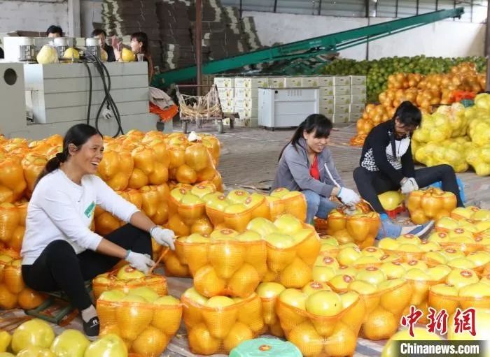春節(jié)豬肉、蔬菜、水果會集體漲價？農(nóng)業(yè)農(nóng)村部回應(yīng)