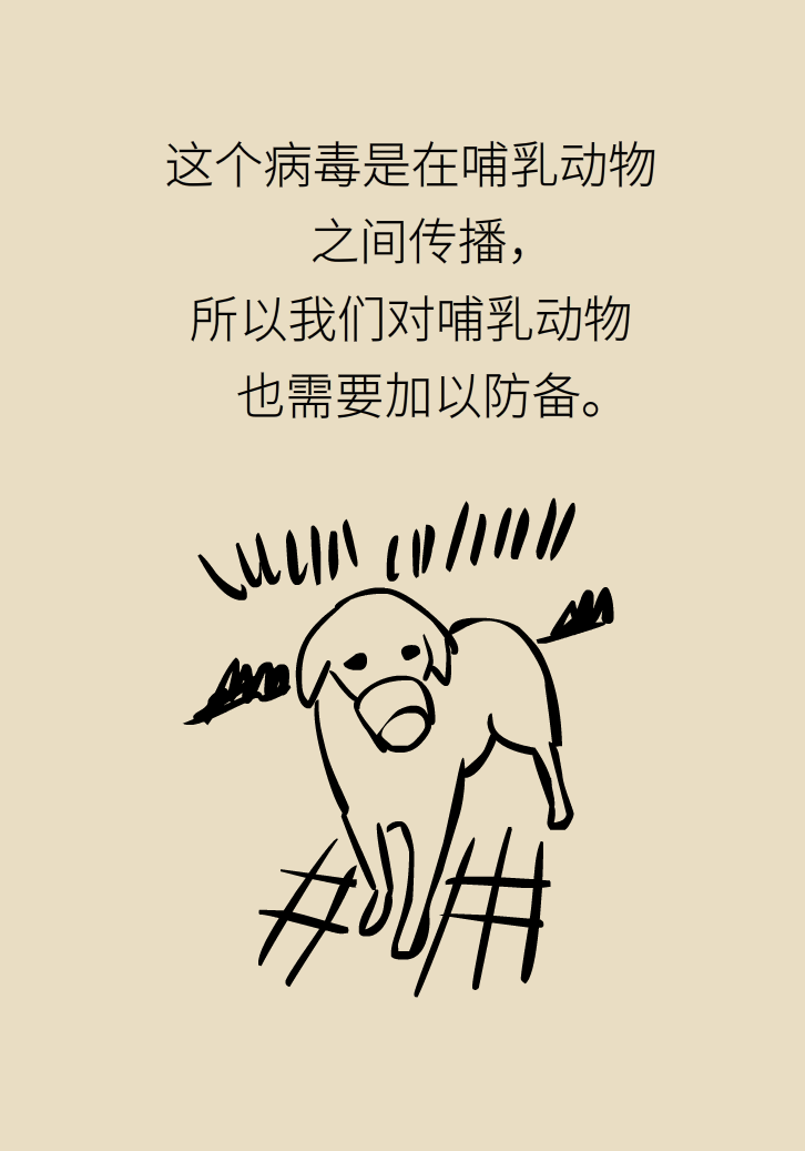 寵物也會感染病毒？
