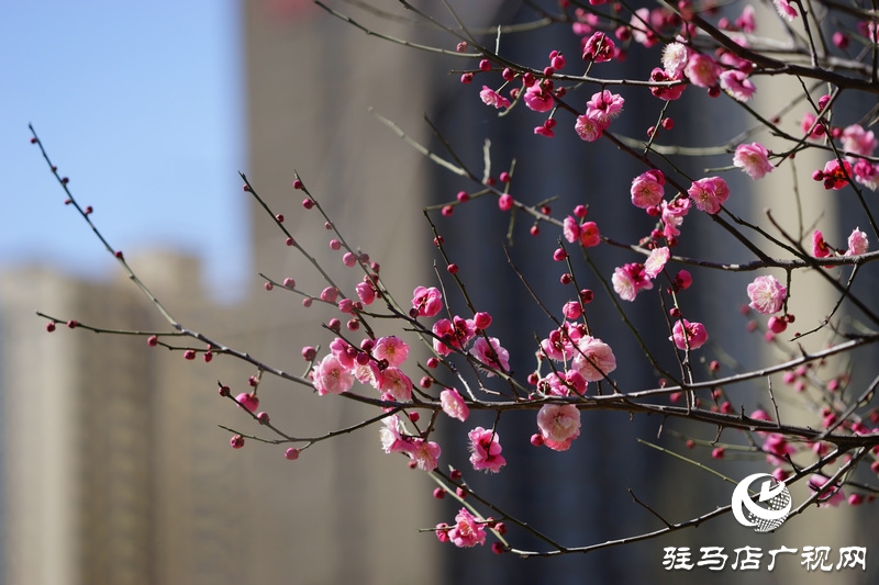 窗外，暖意融融