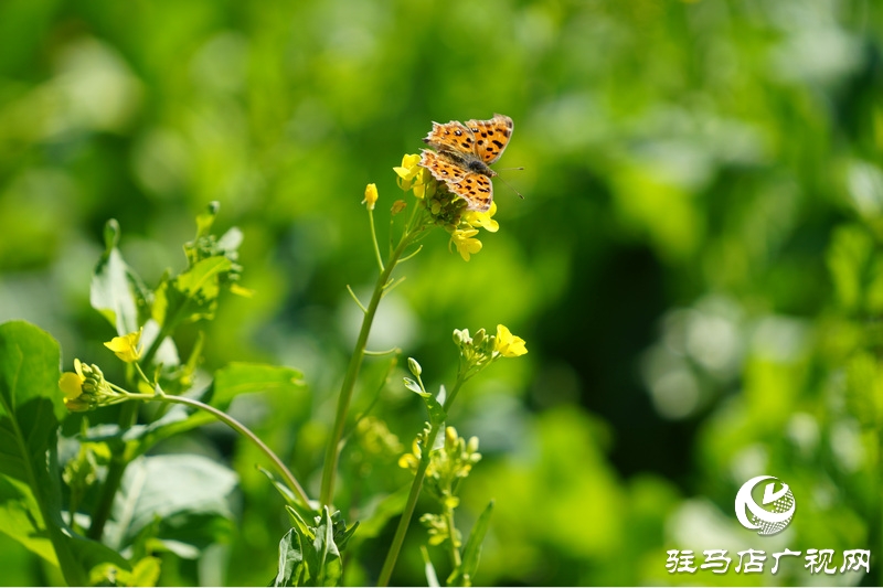 我們堅(jiān)守，為了早日重逢