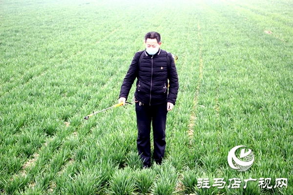 汝南縣古塔街道疫情防控時(shí)期春耕生產(chǎn)有門道