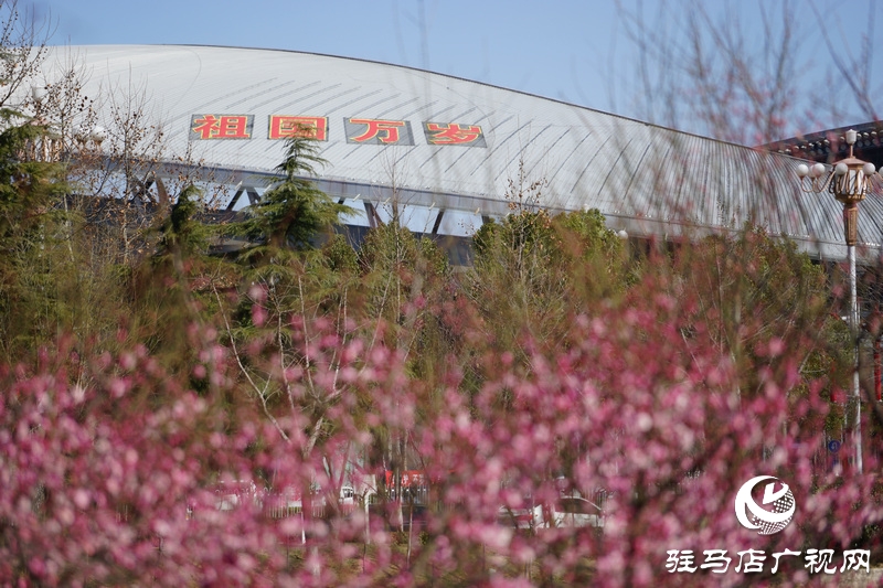 戰(zhàn)疫，熱火朝天