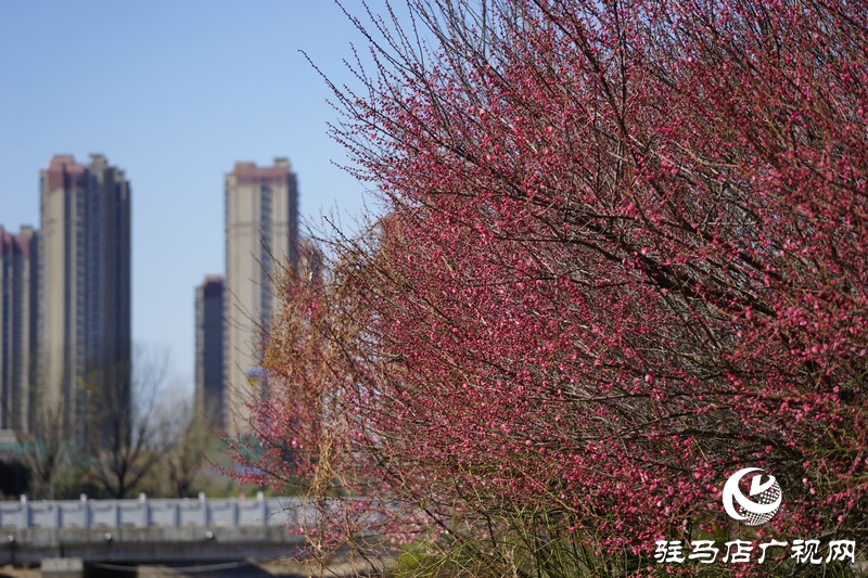 再次與自己約定，閉門不出