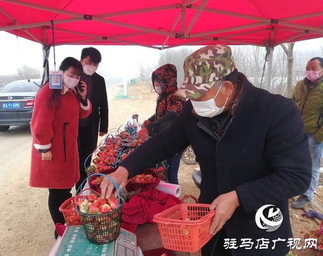 上蔡縣蔡埠口村：提升果品質(zhì)量 服務農(nóng)戶銷售
