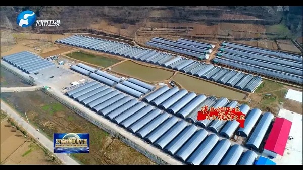 河南53個貧困縣全部實現脫貧摘帽 萬眾一心奪取全面勝利