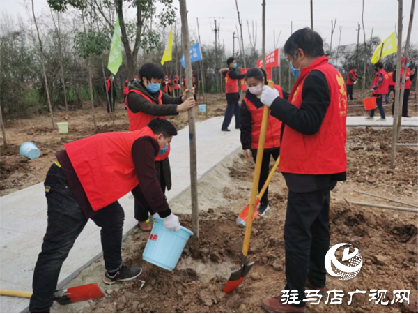 開發(fā)區(qū)衛(wèi)計委積極開展植樹節(jié)志愿服務活動