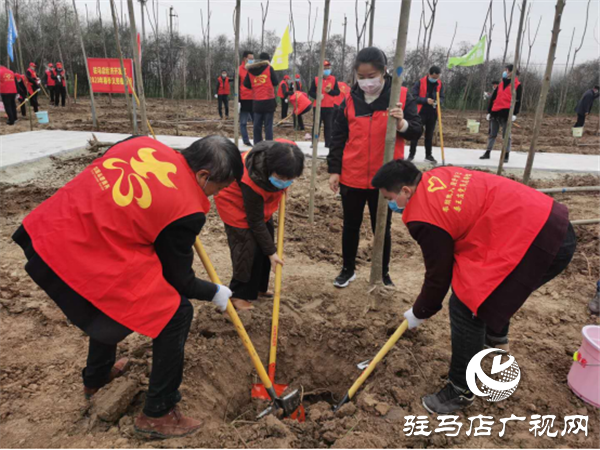 開發(fā)區(qū)衛(wèi)計委積極開展植樹節(jié)志愿服務活動