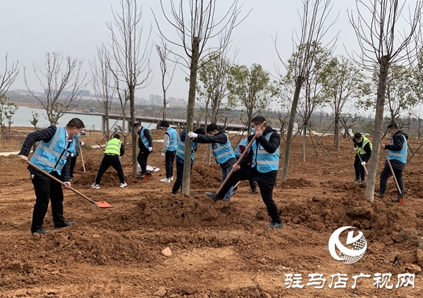 中建七局中原建設(shè)公司上蔡片區(qū)項目開展義務植樹活動