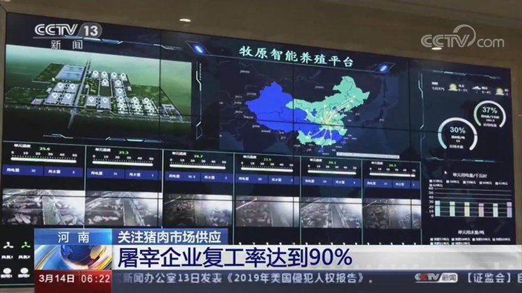 【央視關(guān)注河南】加快恢復(fù)生豬生產(chǎn) 保障百姓&ldquo;肉籃子&rdquo;