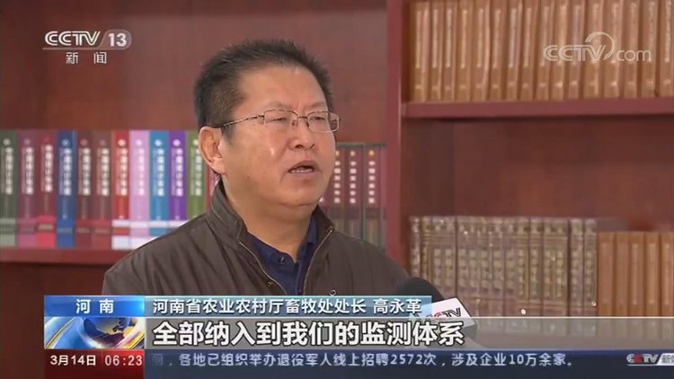 【央視關(guān)注河南】加快恢復(fù)生豬生產(chǎn) 保障百姓&ldquo;肉籃子&rdquo;