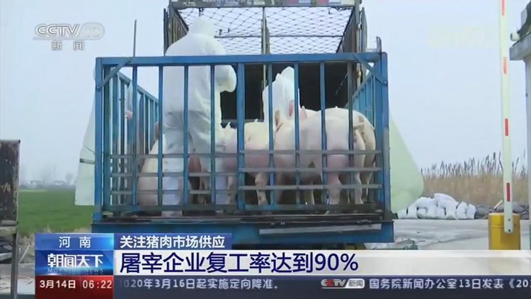 【央視關(guān)注河南】加快恢復(fù)生豬生產(chǎn) 保障百姓&ldquo;肉籃子&rdquo;