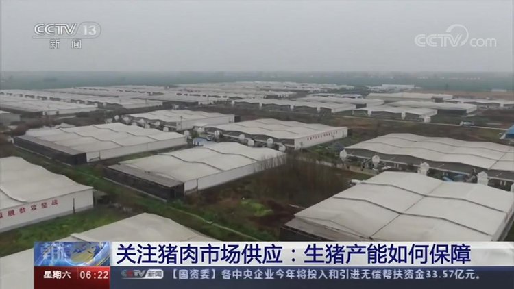 【央視關(guān)注河南】加快恢復(fù)生豬生產(chǎn) 保障百姓&ldquo;肉籃子&rdquo;