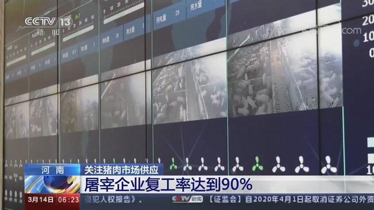 【央視關(guān)注河南】加快恢復(fù)生豬生產(chǎn) 保障百姓&ldquo;肉籃子&rdquo;