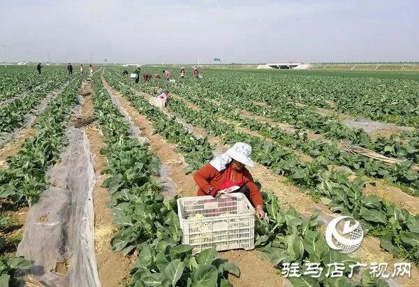 一則消息開啟了一場(chǎng)60公里路程的愛(ài)心接力