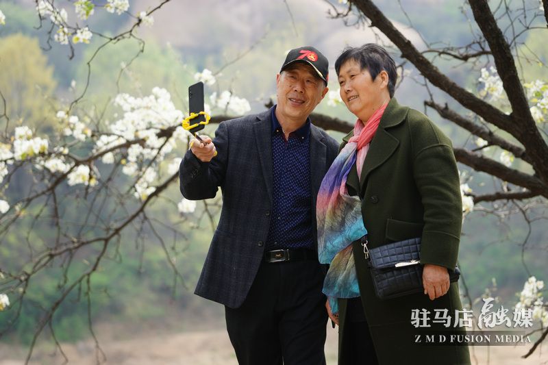 終于等到你，美麗大駐馬