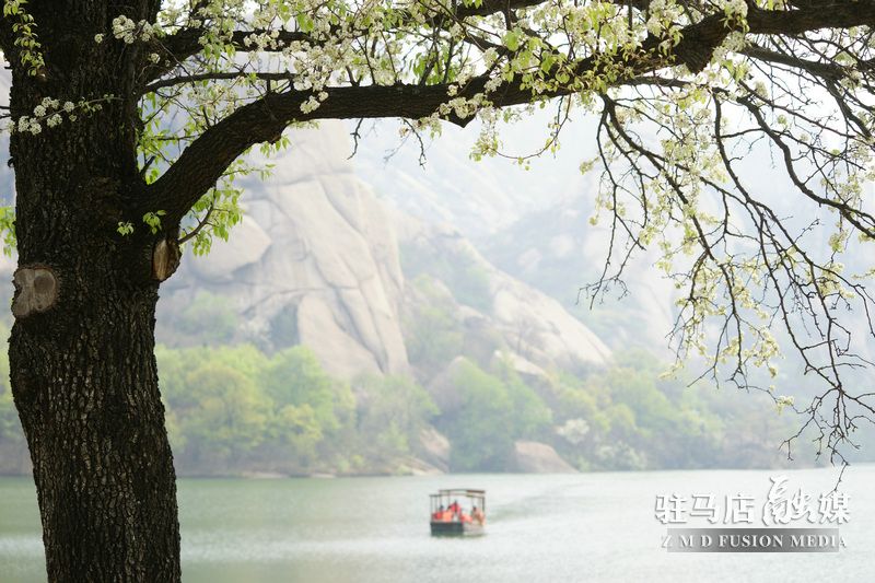 終于等到你，美麗大駐馬