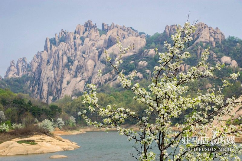 終于等到你，美麗大駐馬