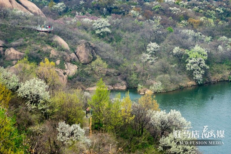終于等到你，美麗大駐馬