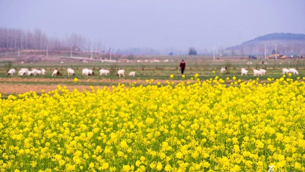 終于等到你，美麗大駐馬