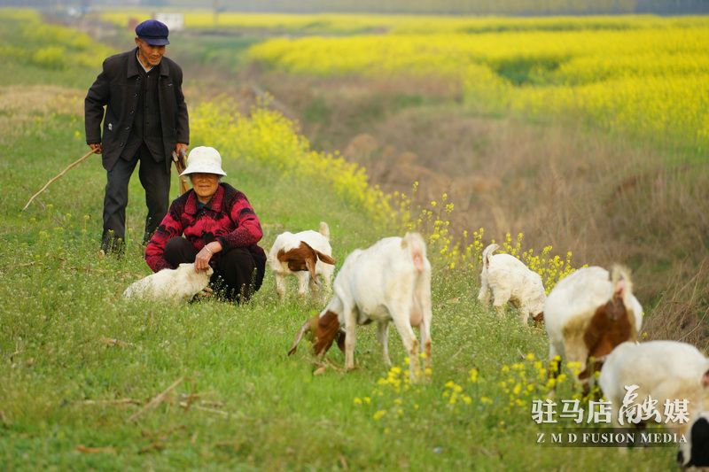 終于等到你，美麗大駐馬