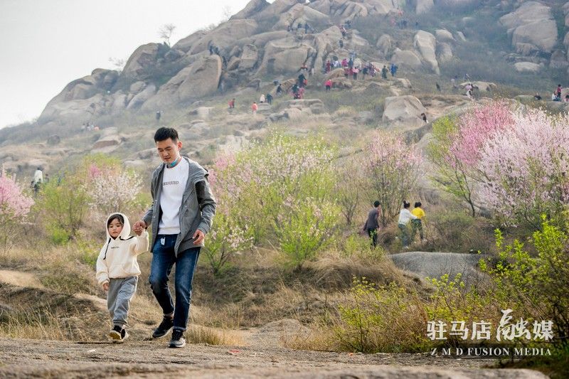 終于等到你，美麗大駐馬