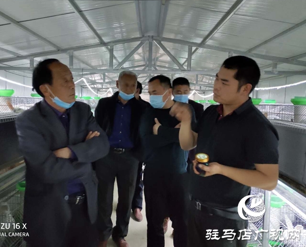 驛城區(qū)沙河店鎮(zhèn)趙堯村到確山縣任店鎮(zhèn)考察學(xué)習(xí)養(yǎng)殖良種肉兔經(jīng)驗