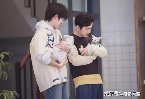 當(dāng)國綜不抄襲，當(dāng)謝娜不聒噪，不撕的國產(chǎn)綜藝看什么？ 