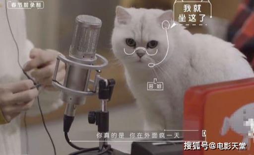 當(dāng)國綜不抄襲，當(dāng)謝娜不聒噪，不撕的國產(chǎn)綜藝看什么？ 