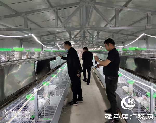 驛城區(qū)沙河店鎮(zhèn)趙堯村到確山縣任店鎮(zhèn)考察學(xué)習(xí)養(yǎng)殖良種肉兔經(jīng)驗