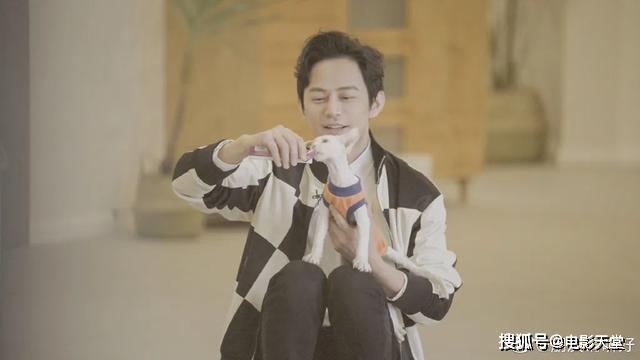 當(dāng)國綜不抄襲，當(dāng)謝娜不聒噪，不撕的國產(chǎn)綜藝看什么？ 