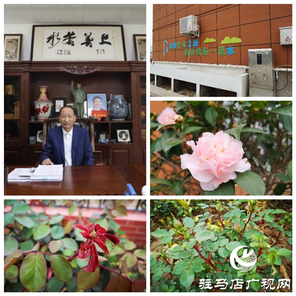 駐馬店大海商砼花園工廠——既要金山銀山，又要綠水青山