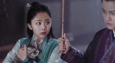 寵物演員參演劇集，絕不是走過場 