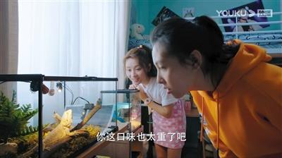 寵物演員參演劇集，絕不是走過場 