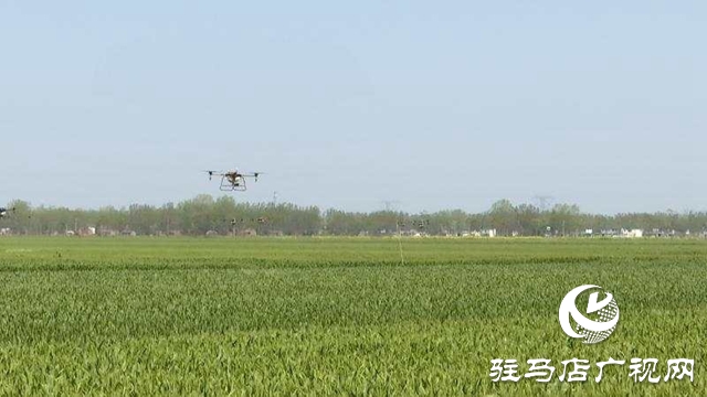 正陽縣啟動2020年小麥重大病蟲害“統(tǒng)防統(tǒng)治”氣象保障服務(wù)
