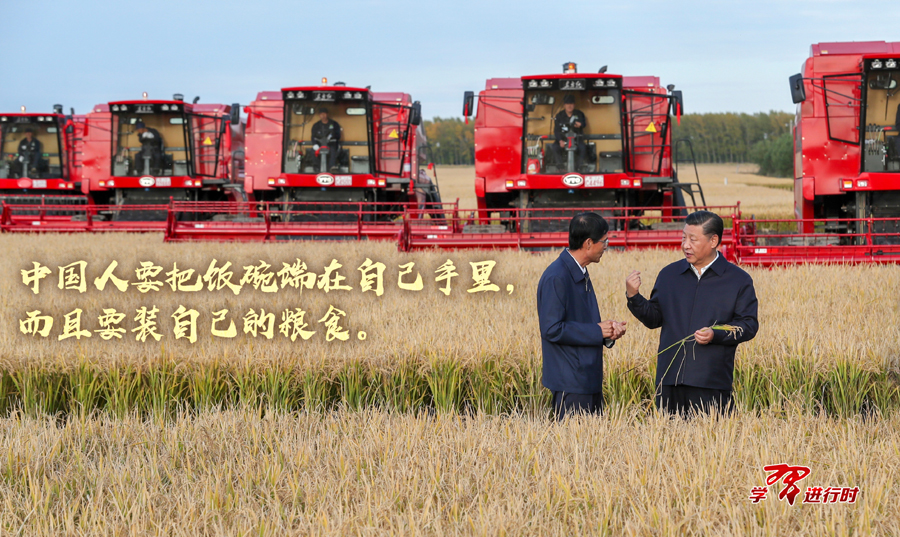 習(xí)近平強(qiáng)調(diào)的這個(gè)“安全”，當(dāng)下意義更加凸顯