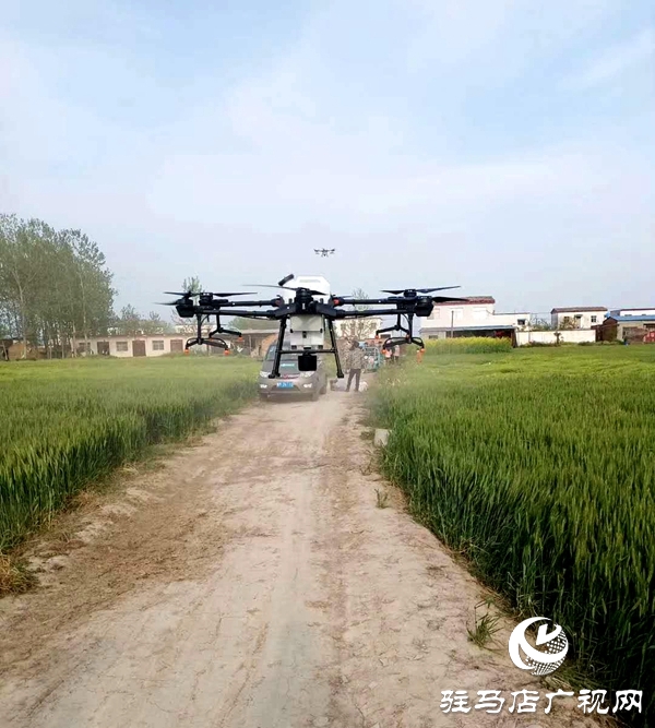 正陽(yáng)縣蘭青鄉(xiāng)多措并舉防蟲(chóng)害