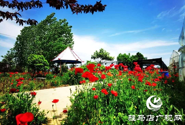 余長旺：下崗再創(chuàng)業(yè)，成就人生夢