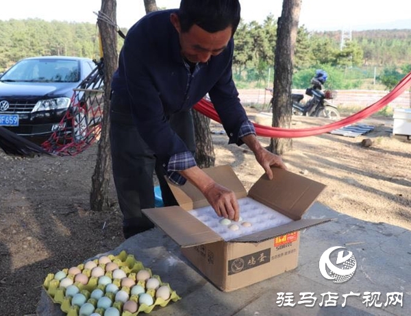 泌陽：農(nóng)林合作社富了村民 美了鄉(xiāng)村